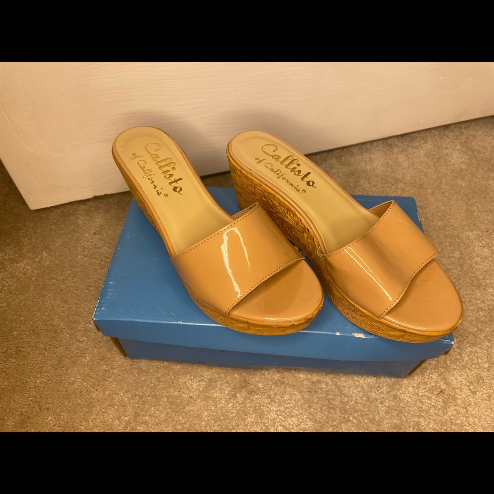 Blush/nude patent leather platform sandals